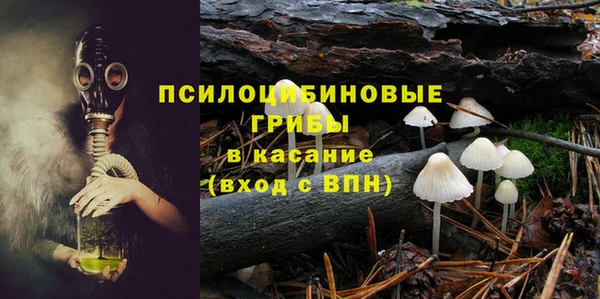 ешки Козельск