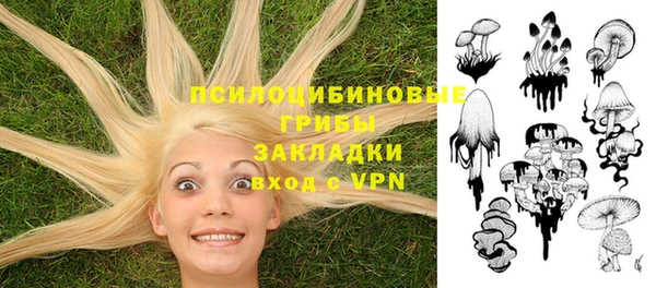 ешки Козельск