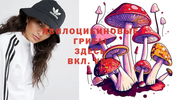 марки nbome Кодинск