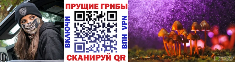 Псилоцибиновые грибы GOLDEN TEACHER  Купить закладки  Орехово-Зуево 